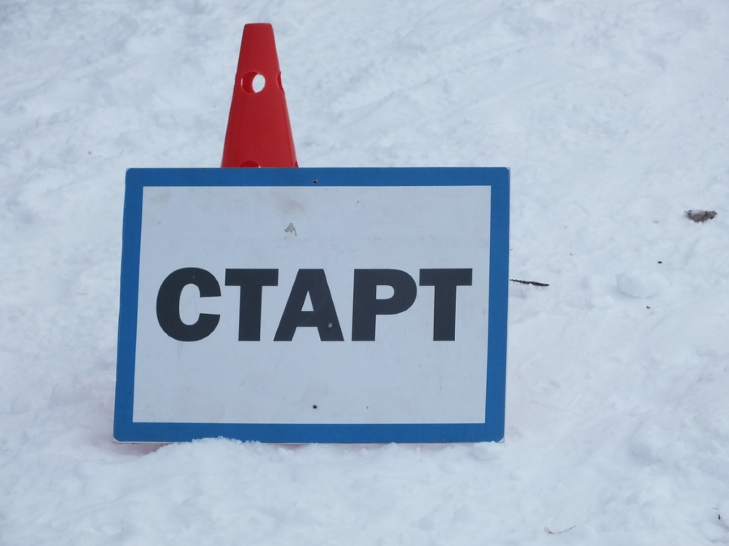 Гатчинцев приглашают на главную лыжную гонку России Гатчинцев приглашают на главную лыжную гонку России
